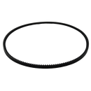 Cinghia alternatore 542A0609